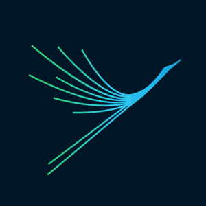 Noida International Airport